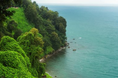 Batumi 'deki botanik bahçesi. Georgia 'daki sahil kıyısı. Batumi 'de turistik bir yer