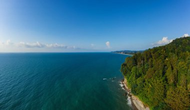 Batumi 'deki botanik bahçesi. Georgia 'daki sahil kıyısı. Batumi 'de turistik bir yer