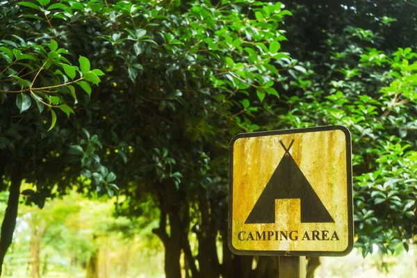 Camping Plaats Batumi Toeristische Tentplaats Botanische Tuin Wandelen Georgië — Stockfoto