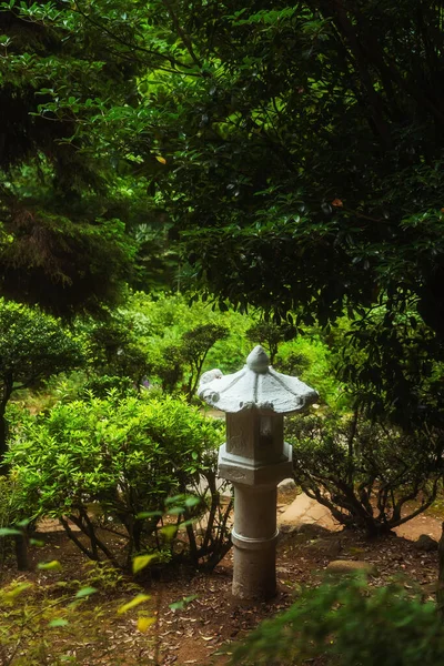 Китаец Батуми Ботанический Сад Грузии Японский Сад Батуми — стоковое фото