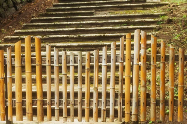 Bamboo Fence Botanical Garden Batumi Fence Georgia Protection Tourists Park — Stock Photo, Image