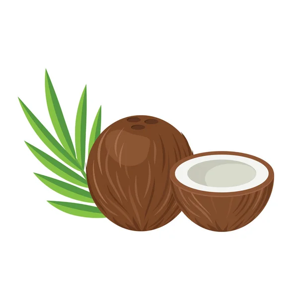 Fruto entero de coco con diseño medio plano — Vector de stock