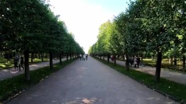Peterhof Sarayı manzarası, arka planda bahçeler, parklar, çeşmeler ve su kanalları, St Petersburg, Rusya