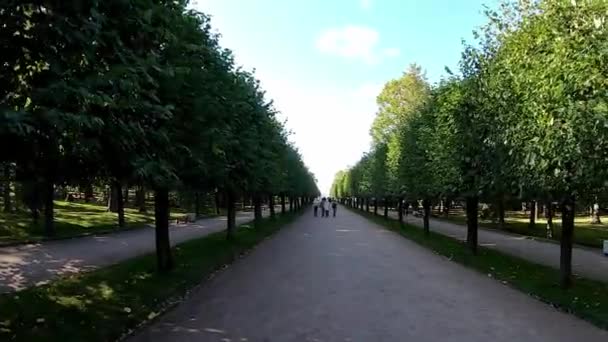 Kilátás a Peterhof Palotára, kertekkel, parkokkal, szökőkutakkal és vízcsatornákkal a háttérben, Szentpétervár, Oroszország — Stock videók