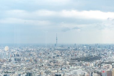 Tokyo, Japonya - 28 Mart 2019: Tokyo, Japonya 'da Ikebukuro' nun panoramik modern şehir gökyüzü manzaralı emlak ve şirket inşaatı için Asya iş konsepti