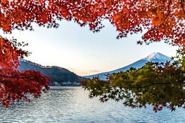 Japonya 'nın Fuji Dağı' ndaki renkli sonbahar - Kawaguchiko Gölü Fuji Dağı 'nın akçaağaç yapraklarından oluşan Fuji Dağı manzarasının tadını çıkarmak için en iyi yerlerden biridir..