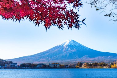 Japonya 'nın Fuji Dağı' ndaki renkli sonbahar - Kawaguchiko Gölü Fuji Dağı 'nın akçaağaç yapraklarından oluşan Fuji Dağı manzarasının tadını çıkarmak için en iyi yerlerden biridir..