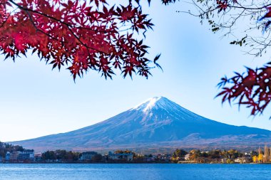 Japonya 'nın Fuji Dağı' ndaki renkli sonbahar - Kawaguchiko Gölü Fuji Dağı 'nın akçaağaç yapraklarından oluşan Fuji Dağı manzarasının tadını çıkarmak için en iyi yerlerden biridir..