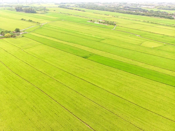 Άποψη Τοπίου Της Guandu Plain Ταϊπέι Ταϊβάν — Φωτογραφία Αρχείου