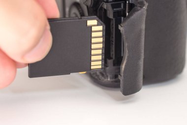 Erkek el, SD hafıza kartını tutuyor. Beyaz arkaplanda izole