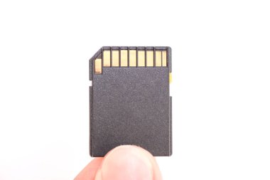 Erkek el, SD hafıza kartını tutuyor. Beyaz arkaplanda izole