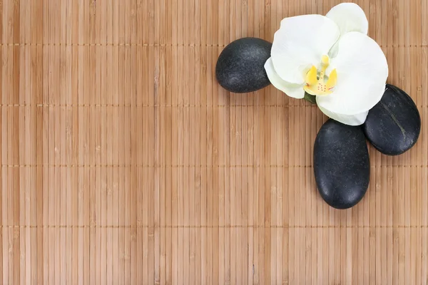 Orchidee mit Zen-Steinen auf Bambus-Hintergrund — Stockfoto