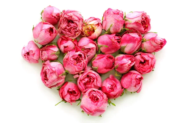 Des bourgeons de roses de thé en forme de cœur pour la Saint-Valentin — Photo
