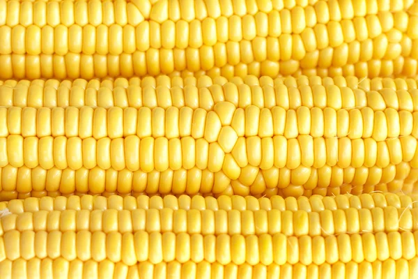 Uso del maíz como fondo — Foto de Stock
