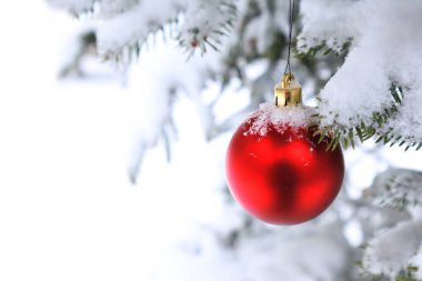 Karlı havalarda açık mavi Ladin dalında asılı kırmızı Noel top