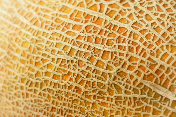 Textured melon peel full frame close up — Stock Photo, Image