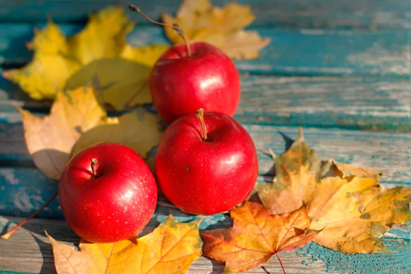 Manzanas rojas de otoño y hojas amarillas — Foto de Stock