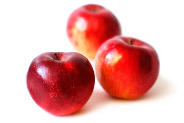 Сочные яблоки на белом фоне — стоковое фото