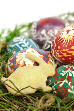 Paskalya tavşanı ve yumurta yakın çekim