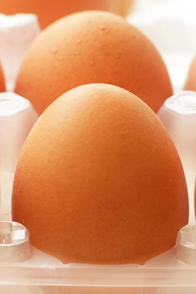 Fresh raw eggs — Stock Photo, Image