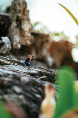 Minyatür fotoğrafçı güzel manzaranın fotoğrafını çekiyor.