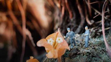 Minyatür insanlar: Küçük kaşifler tropikal ormandaki büyük çiçekleri inceliyorlar. (Daha iyi bir dünya için ağaç dikiyoruz)