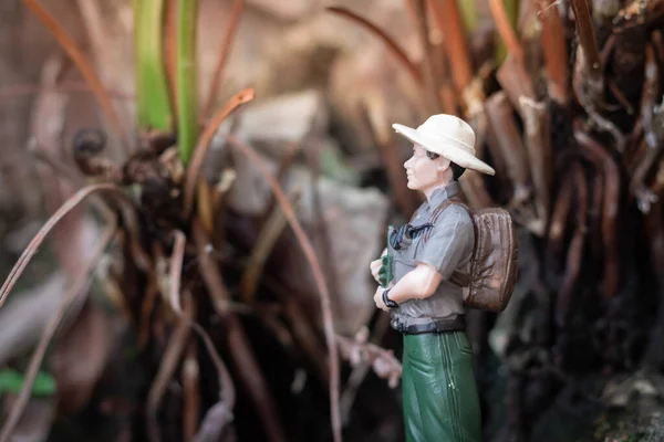 Miniature figure : A male explorer stands looking at the scenery and nature surrounding the tropical forest.