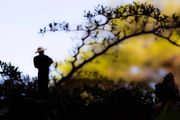 Miniaturefigur Mandlig Opdagelsesrejsende Står Kigger Landskabet Naturen Omkring Den Tropiske - Stock-foto