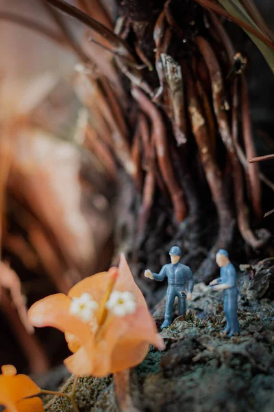 Personas Miniatura Pequeños Exploradores Están Inspeccionando Grandes Flores Bosque Tropical —  Fotos de Stock