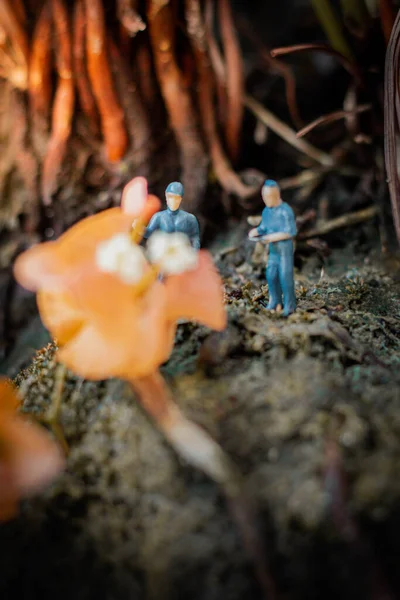 Personas Miniatura Pequeños Exploradores Están Inspeccionando Grandes Flores Bosque Tropical —  Fotos de Stock