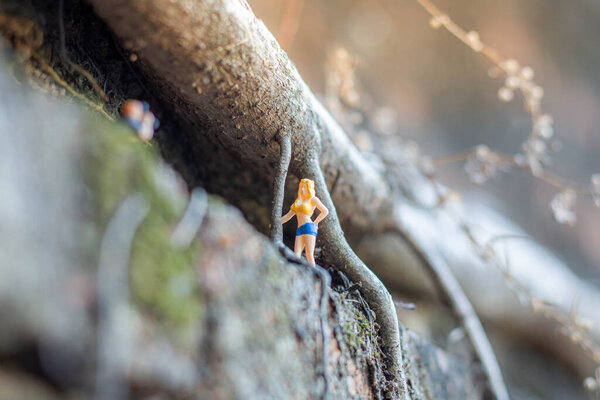 Миниатюра: фотограф фотографирует модель в тропическом лесу.