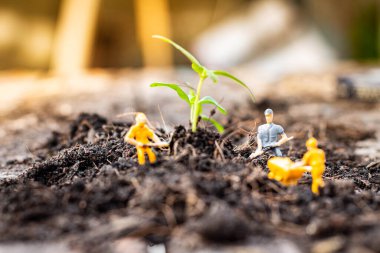 Minyatür insanlar: Doğa araştırma ekibi yeşil bir dünya projesi için ağaç dikiyor. (Daha iyi bir dünya için ağaç dikiyoruz)