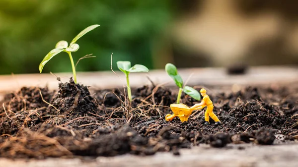 Personas Miniatura Equipo Exploración Naturaleza Está Plantando Árboles Para Proyecto —  Fotos de Stock