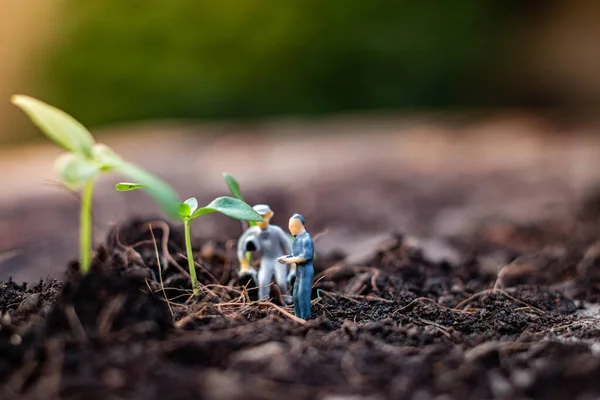 Personas Miniatura Equipo Exploración Naturaleza Está Plantando Árboles Para Proyecto —  Fotos de Stock