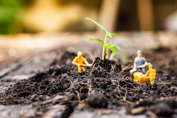 Personas Miniatura Equipo Exploración Naturaleza Está Plantando Árboles Para Proyecto —  Fotos de Stock