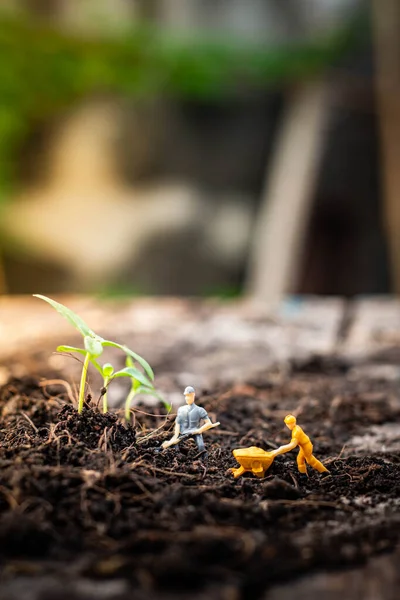 Personas Miniatura Equipo Exploración Naturaleza Está Plantando Árboles Para Proyecto —  Fotos de Stock