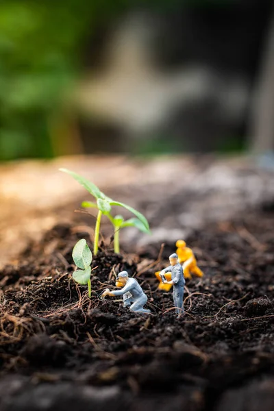 Miniature people : Nature exploration team is planting trees for a green world project. (We plant trees for a better world)