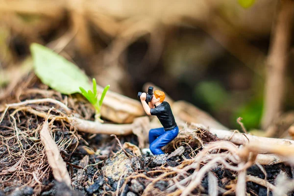 Personas Miniatura Fotógrafo Tomando Pequeño Árbol Bosque Tropical —  Fotos de Stock