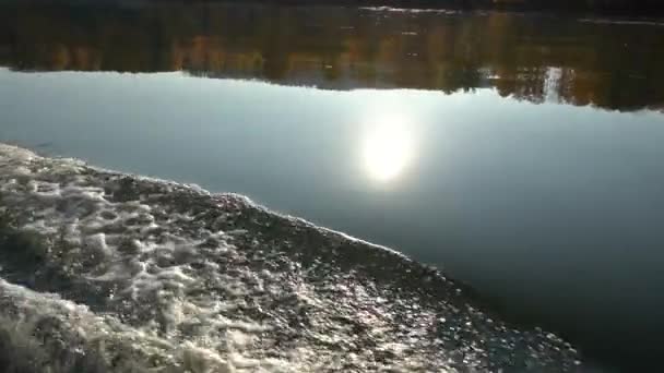 Calm flow of the river against the background of a golden autumn forest. Relaxing natural landscape, ecotourism — Stock Footage Calm flow of the river against the background of a golden autumn forest. Relaxing natural landscape, ecotourism Royalty Free Stock Video