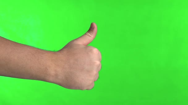 Tummen upp skylt på en grön skärm bakgrund. Klassskylt på grön bakgrund. Hand visar tummen upp — Stockvideo