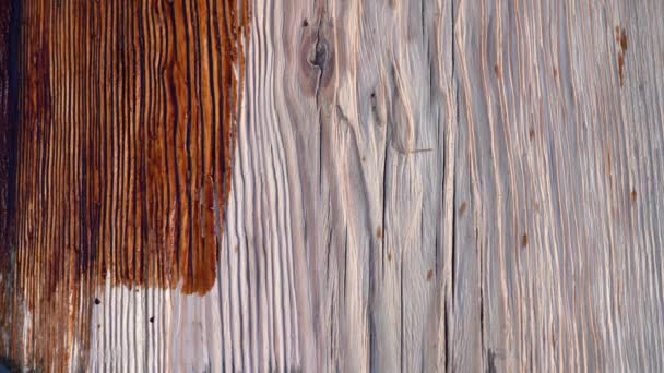 Holz beizen. Pinselfleckverfahren. Nahaufnahme Wood painting wa bith rush mit der braunen Farbe — Stockvideo