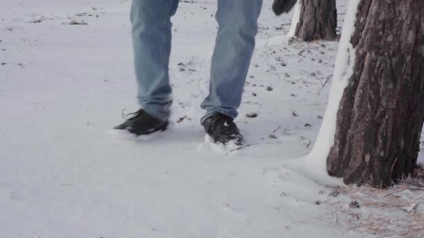 雪玉を作る。公園で手袋をしている若い男が雪を彫刻する。閉鎖 — ストック動画