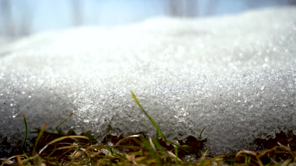 Eriyen bir kar yığınının makro çekimi. Bahar güneşinin ışınları altında eriyen su damlaları buz kristallerinden son yıllara doğru akar. — Stok video