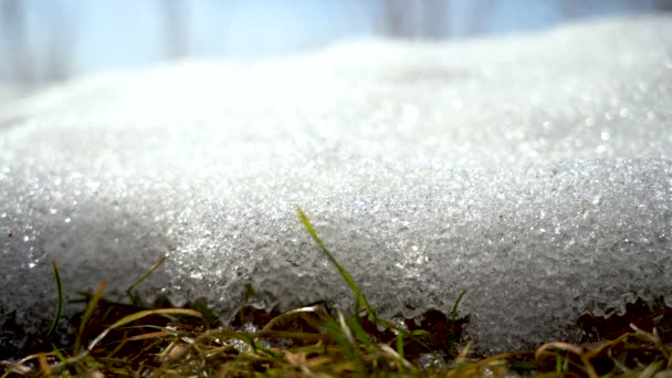 Macro tiro de um derretimento de neve. Sob os raios do sol da primavera, gotas de água derretida fluem de cristais de gelo para a grama dos últimos anos — Vídeo de Stock