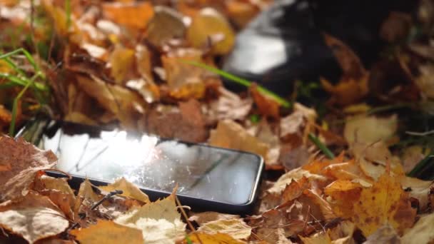 Levante su teléfono inteligente desde el suelo. El hombre encontró el teléfono.. — Vídeos de Stock