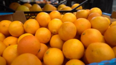 Birçok mandalina satışta. Mağazadan meyve al. Yavaşlama Hareketi.