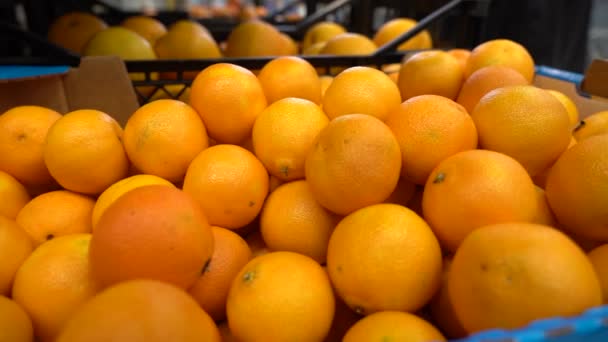 Muitas tangerinas estão à venda. Compre frutas na loja. LOW MOTION. — Vídeo de Stock