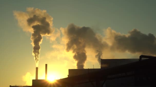 Smoke from pipe pollutes environment in dawn.Smoke from Many Chimneys at dawn. — Stock Video