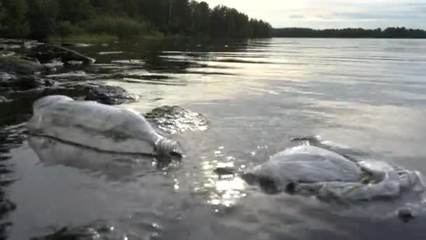 Inquinamento dei corpi idrici. problema ecologico — Video Stock