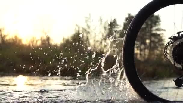 Spruzzi d'acqua da una ruota della bicicletta in una serata estiva sul fiume — Video Stock